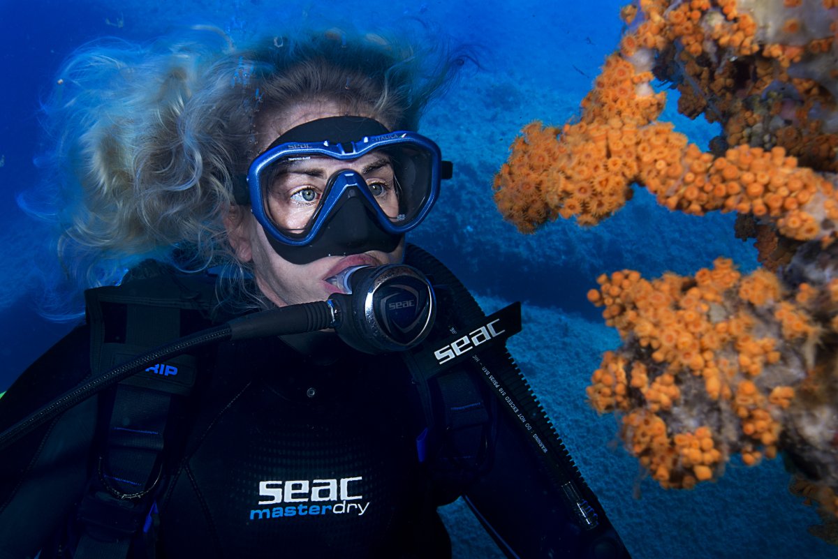 Konsoller - Carlsens DykkerCenter