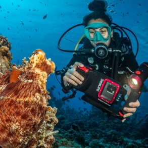 Combi Lys Dykker / foto lys