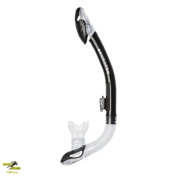 Fusion tr snorkel