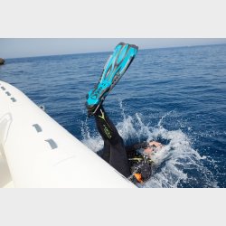 Powerjet finne med fjeder hlrem