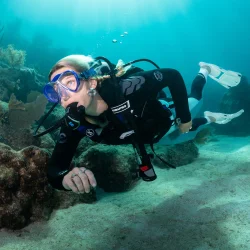 MK11 - C370 regulator