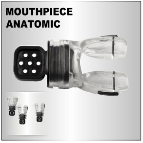 Mundstykke Anatomic
