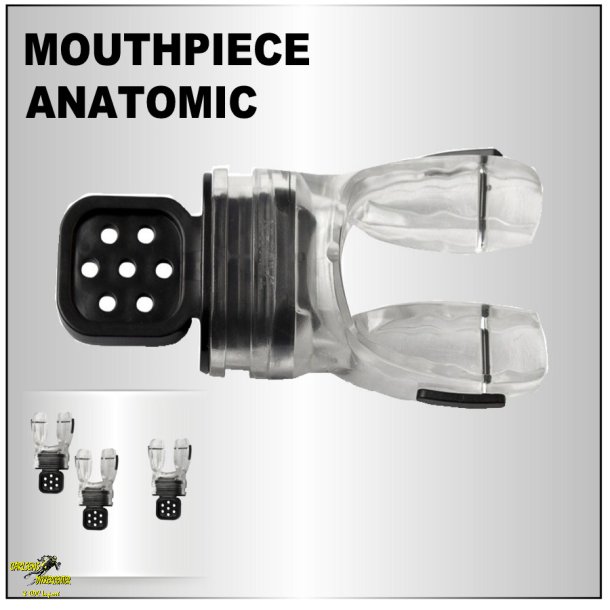 Mundstykke Anatomic