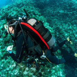 Seac-Sub Mudular Tekvest