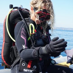 Seac-Sub Mudular Tekvest