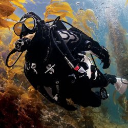 Exodry trdragt 4 mm herre