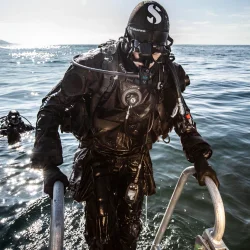 Evertech trdragt herre