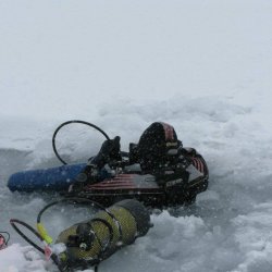 N-Diver Divemaster trdragt erhverv