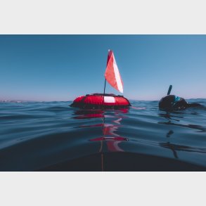 Beuchat fridykker bje