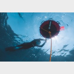 Beuchat fridykker bje