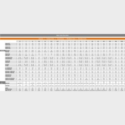 N-Diver Divemaster trdragt erhverv