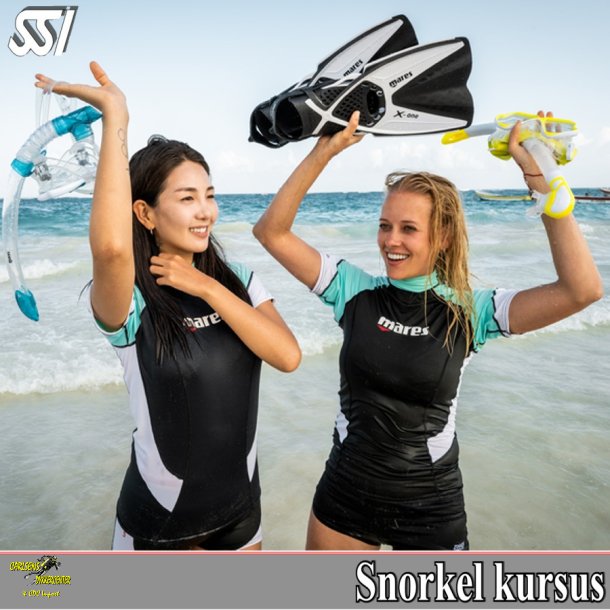 Snorkel kursus 2 (i Bassin)   Start Dato X/XX-2024